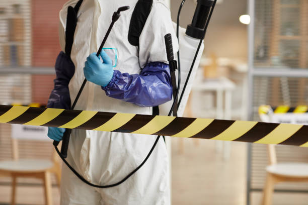 Professional Blood Cleanup technician working in Avalon, CA