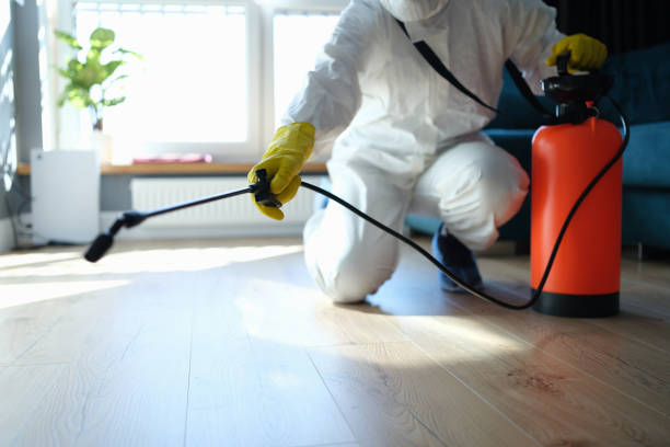 Reliable Blood Cleanup contractor in Avalon, CA by Dulley Family Biohazard Services